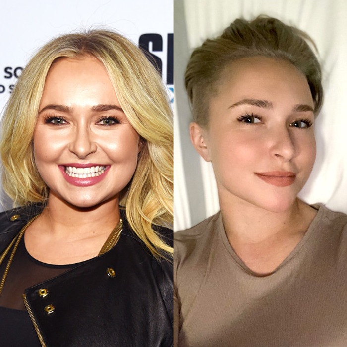 Hayden Panettiere Shows Dramatic Transformation Upon Twitter